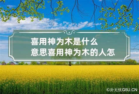 喜木是什么|喜用神为木 喜用神为木怎么旺自己